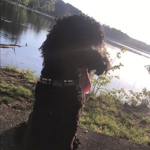 Meet your Posher, Olivia